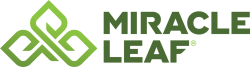 Miracle Leaf 